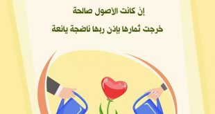 تدبرات - وكان أبوهما صالحا