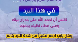 تدبرات - في هذا البرد