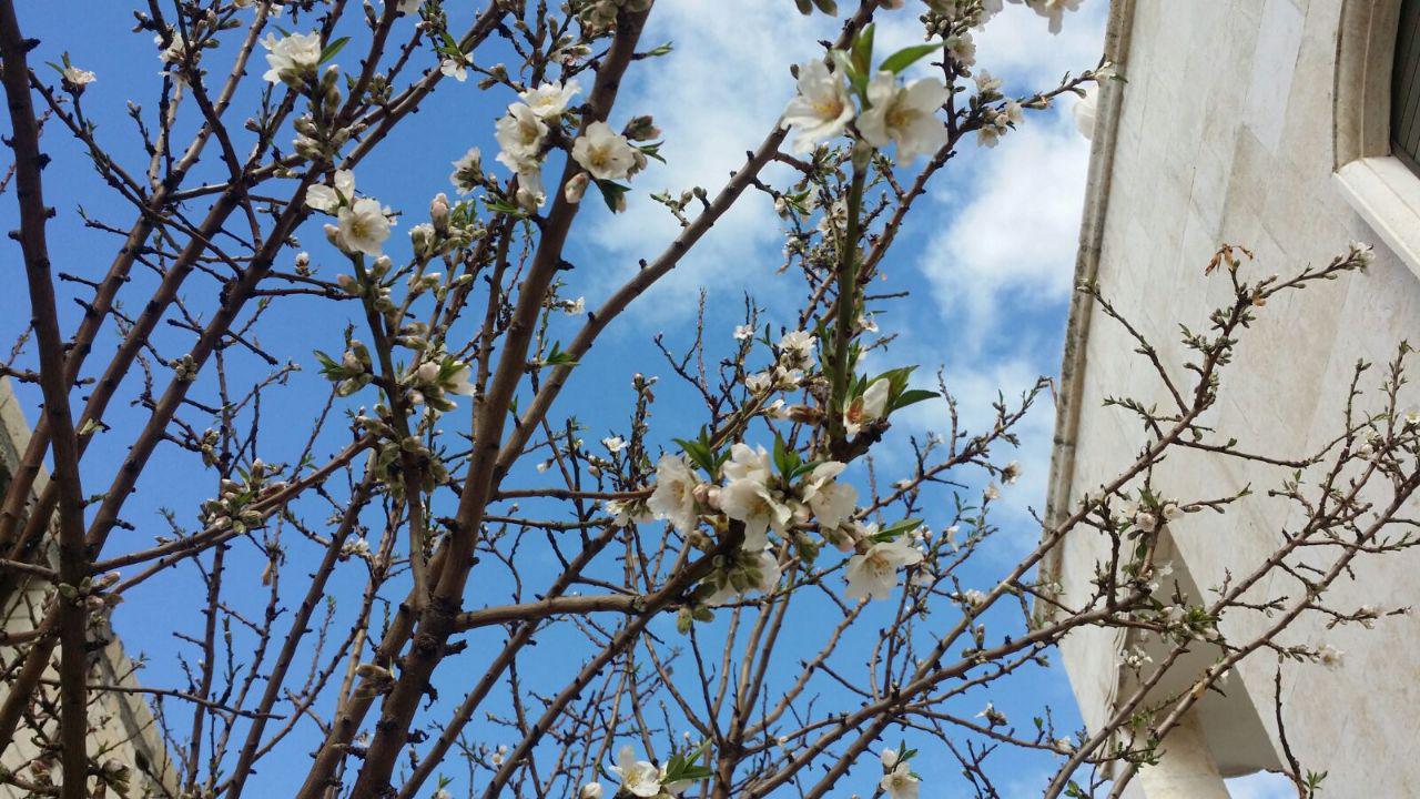 الثورة مستمرة - سيزهر أملنا من جديد