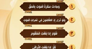 تدبرات - شدة الموت