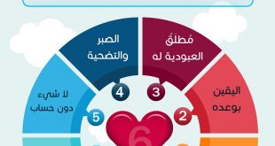 خطبة الجمعة - أسس ومرتكزات التربية الإيمانية