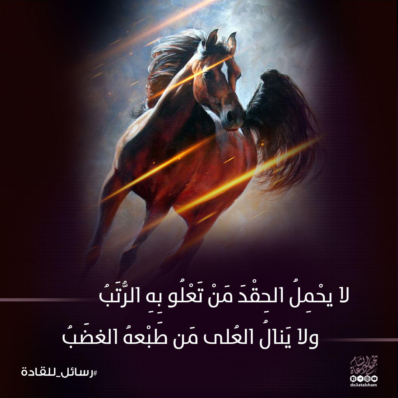 رسائل للقادة - لا يحمل الحقد من تعلو به الرتب