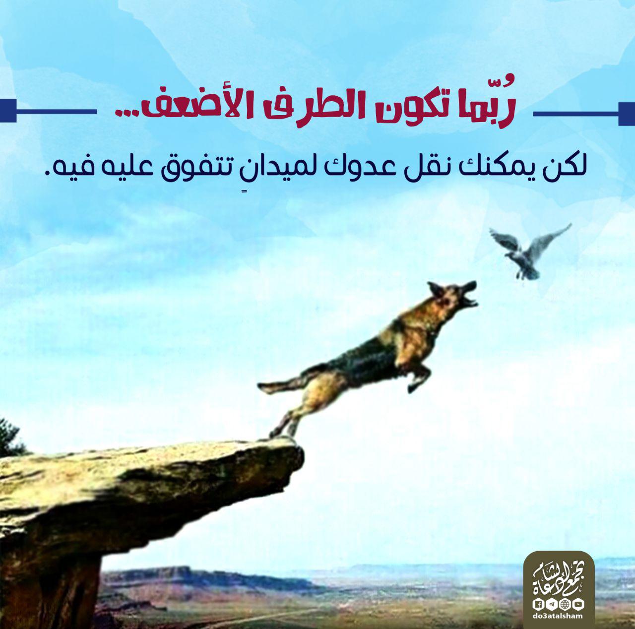 التوعية السياسية - نقل العدو لميدان تتفوق عليه فيه