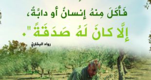 المجتمع المسلم - الغرس والزرع