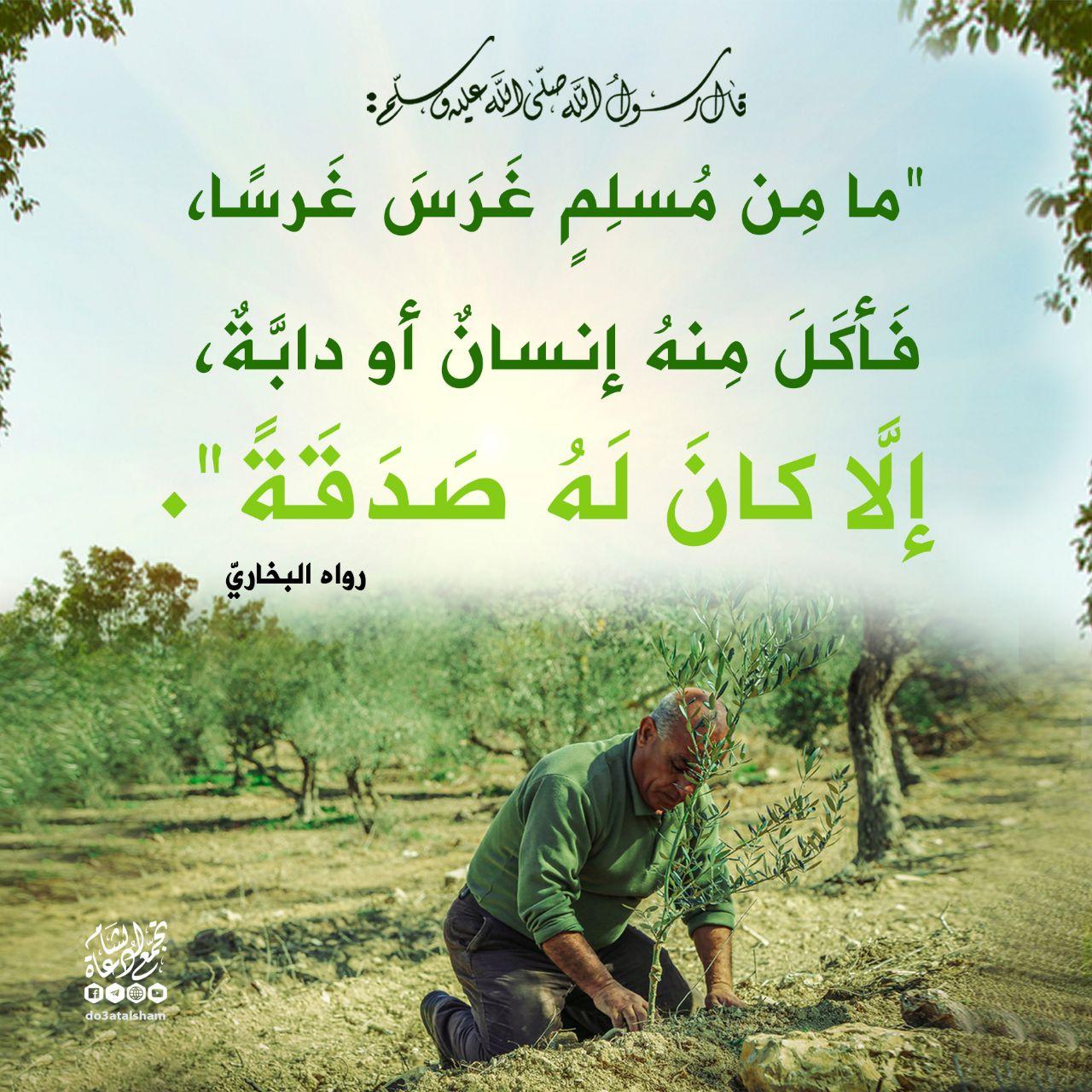 المجتمع المسلم - الغرس والزرع