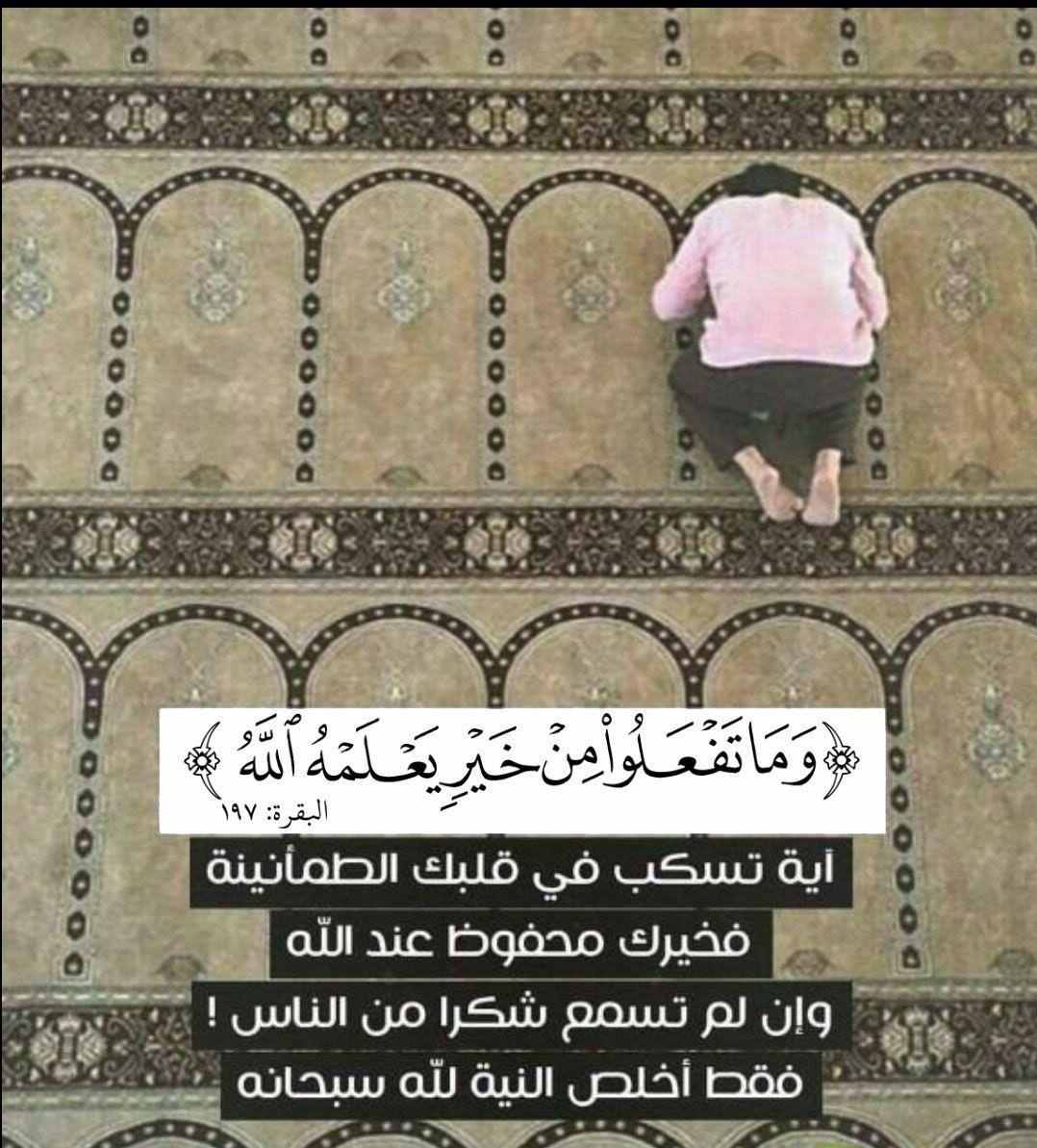 تدبرات - وما تفعلوا من خير يعلمه الله