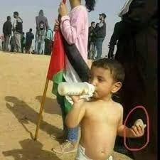 رسائل تربوية رجالا للنصر لا نعاجا للذبح