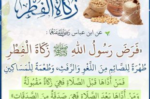 فقه الصائم - زكاة الفطر