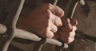 الثورة السورية - معتقلو النظام