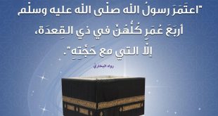 الحج العمرة - من السنة العمرة في شهر ذي القعدة
