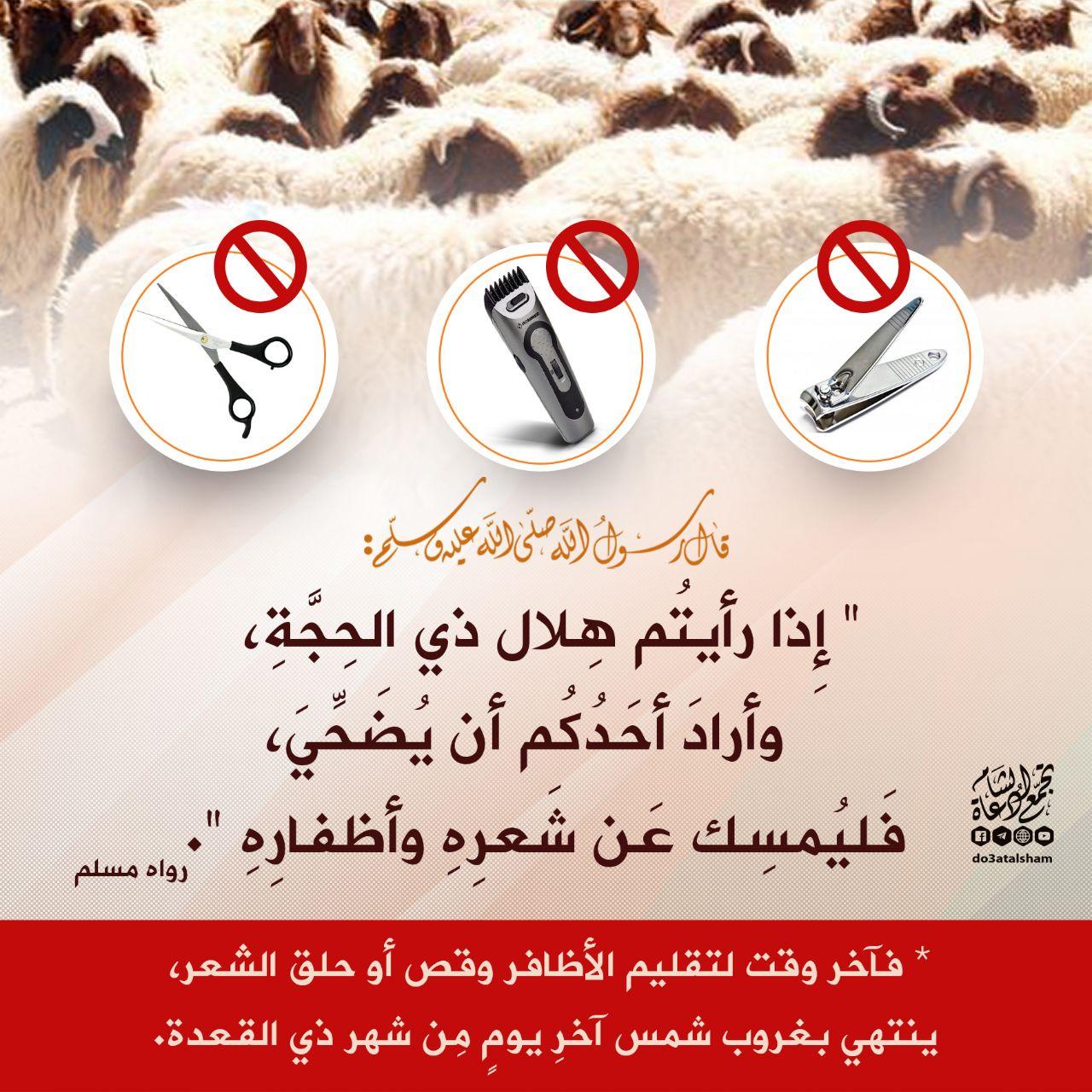 ذو القعدة - الاستعداد لأجل الأضحية