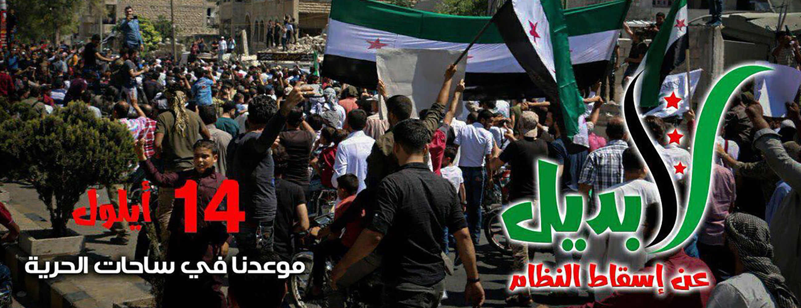 الثورة السورية - لا بديل عن إسقاط النظام