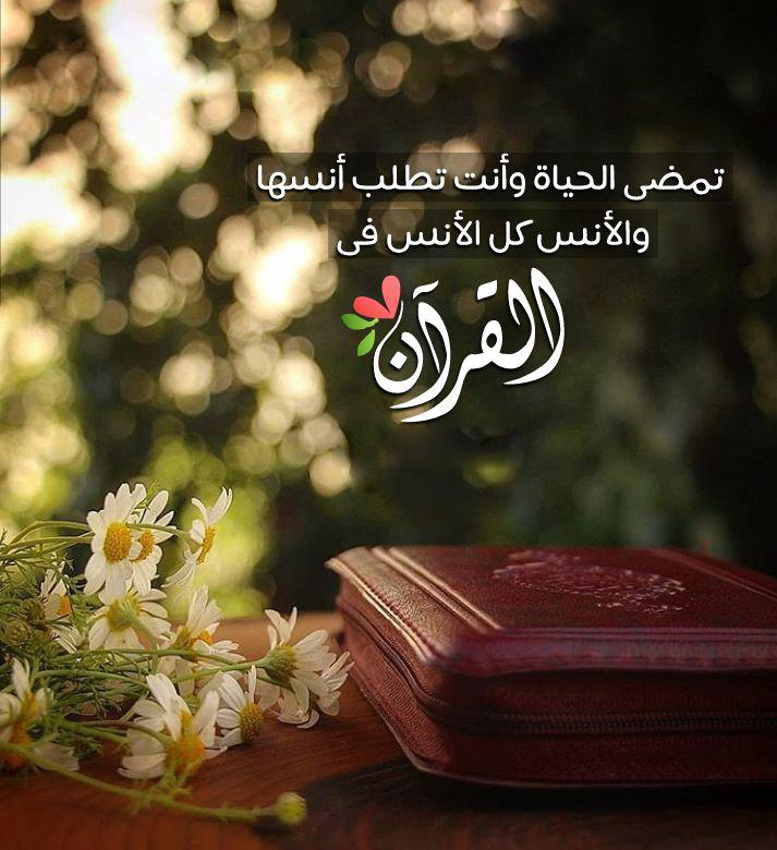 بطاقات الصباح - الأنس كل الأنس فى القرآن