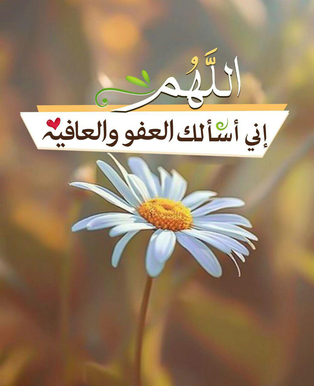 بطاقات الصباح - اللهم إني أسألك العفو والعافية