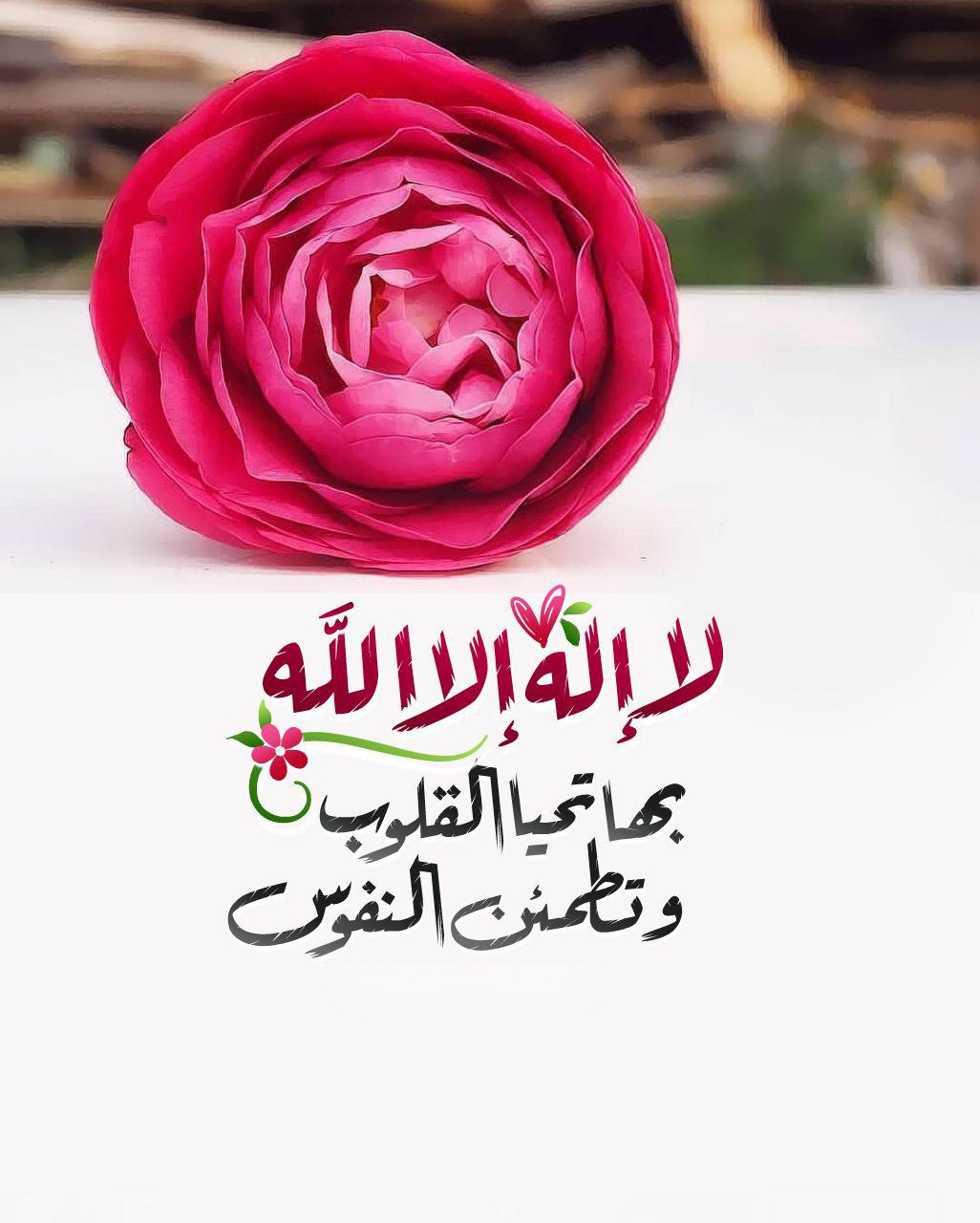 بطاقات الصباح - لا إله إلا الله بها تحيا القلوب