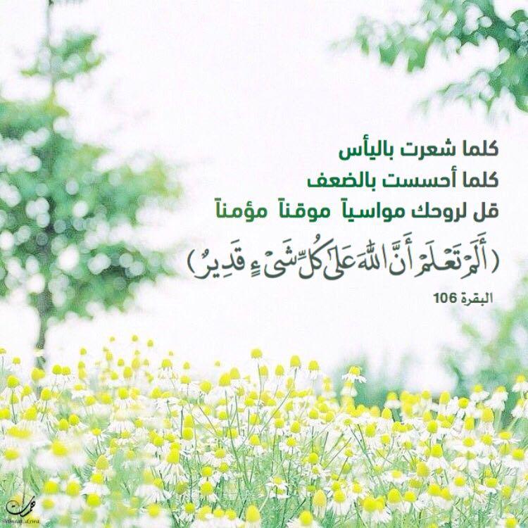 تدبرات - ألم تعلم بأن الله على كل شيء قدير