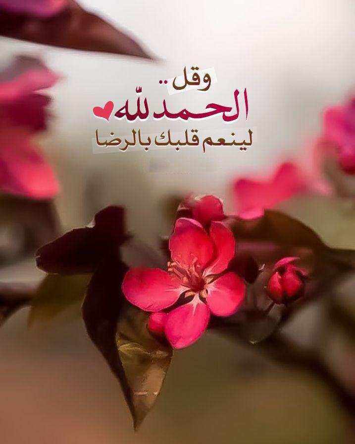 بطاقات الصباح - صباح الحمد والرضا
