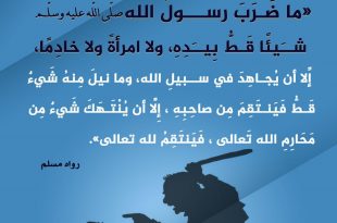 المجتمع المسلم - العفو والإعراض عن الجاهلين