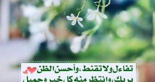 بطاقات الصباح - تفاءل ولا تقنط