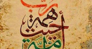 تنمية بشرية - رب همة أحيت أمة