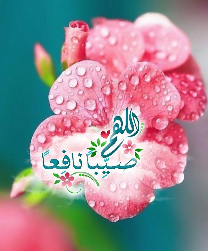 الشتاء - دعاء هطول المطر