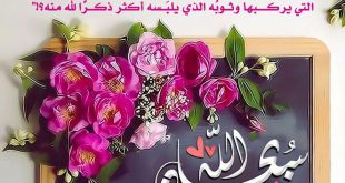 وإن من شيء إلا يسبح بحمده