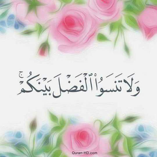 بطاقات الصباح - ولا تنسوا الفضل بينكم
