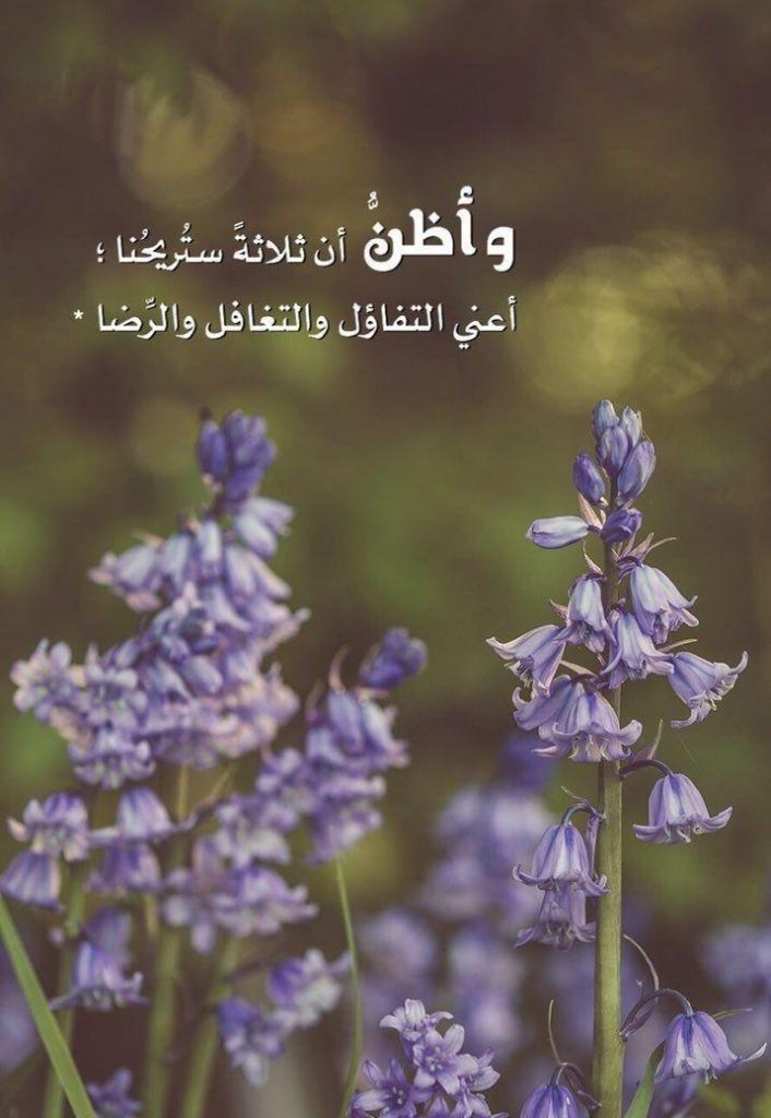 بطاقات الصباح - التفاؤل والتغافل و والرضا