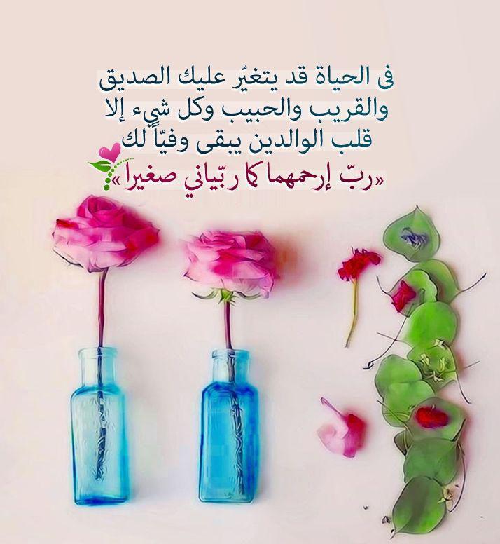 تدبرات - رب ارحمهما كما ربياني صغيرا
