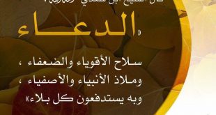 الدعاء - فضل الدعاء