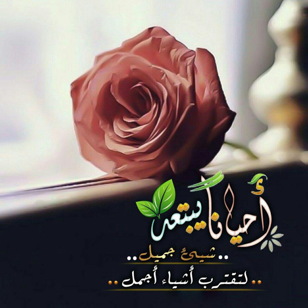 بطاقات الصباح - أحيانا يبتعد شيء جميل لتقترب أشياء أجمل