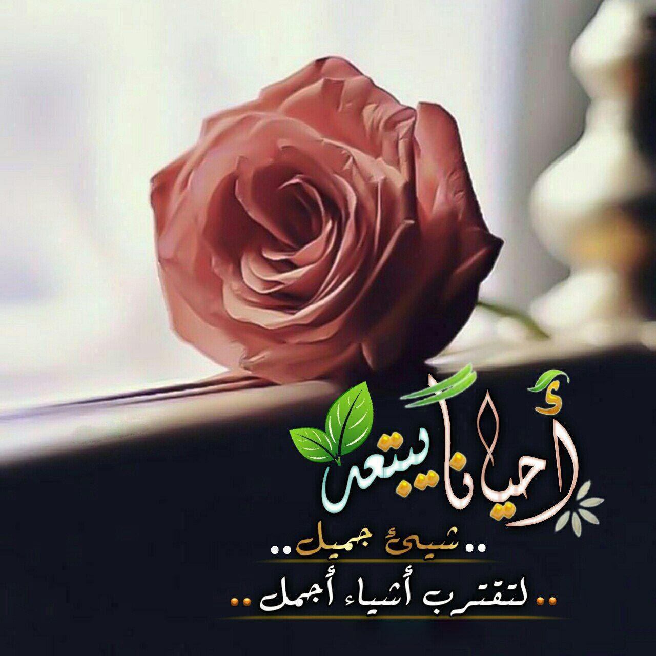 بطاقات الصباح - أحيانا يبتعد شيء جميل لتقترب أشياء أجمل