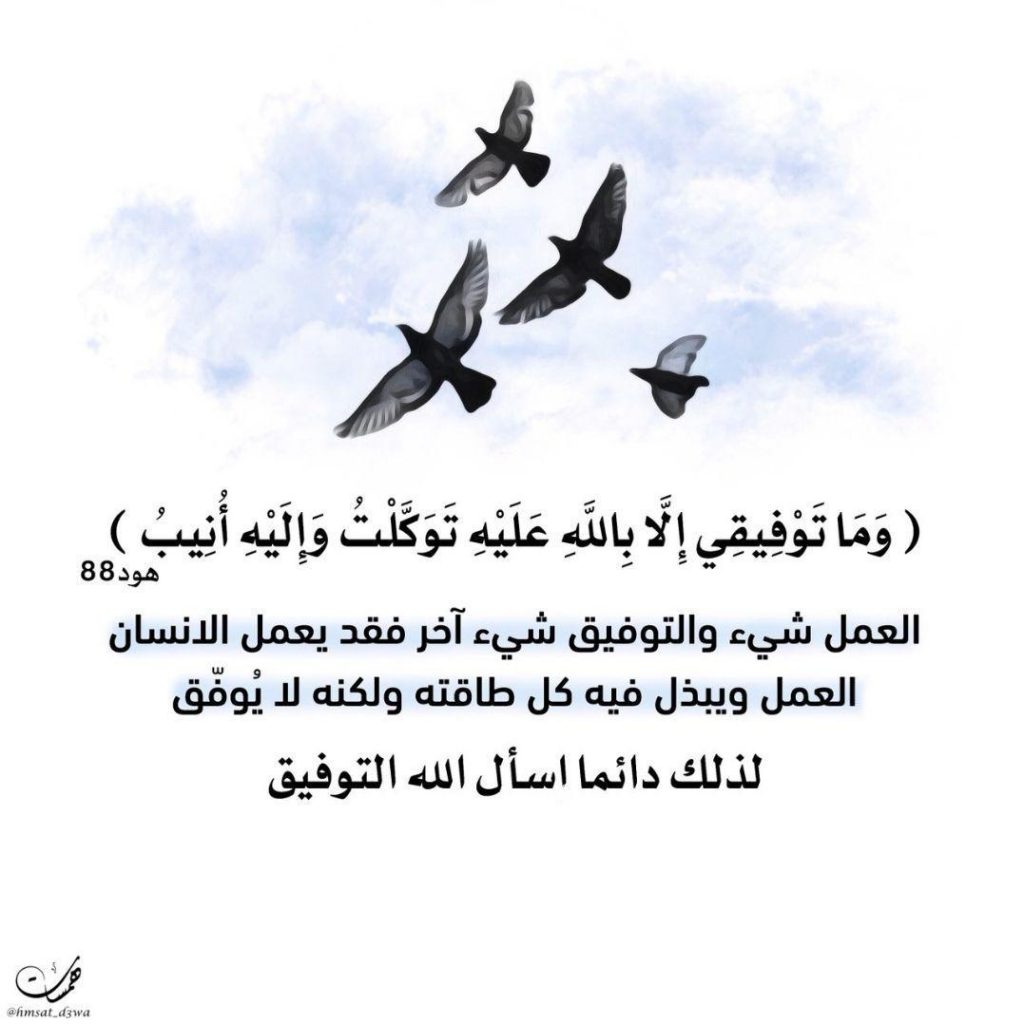 تدبرات - وما توفيقي إلا بالله عليه توكلت وإليه أنيب