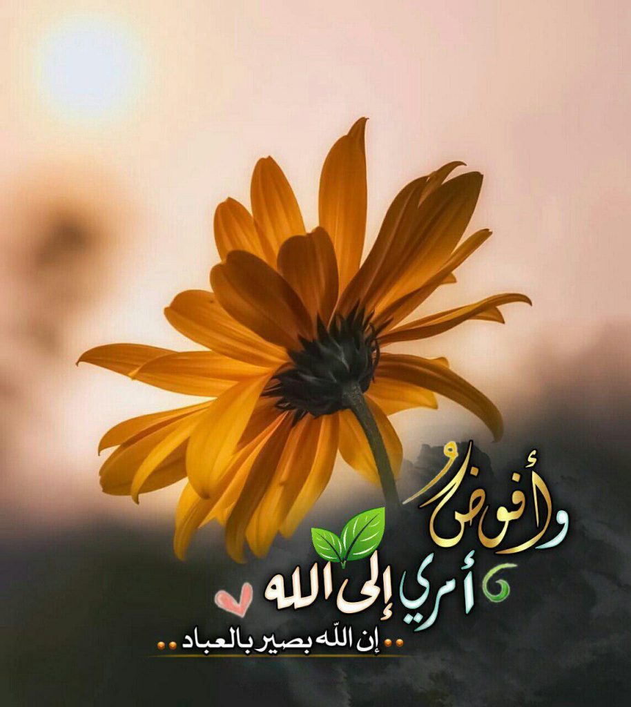 بطاقات الصباح - وأفوض أمري إلى الله إن الله بصير بالعباد