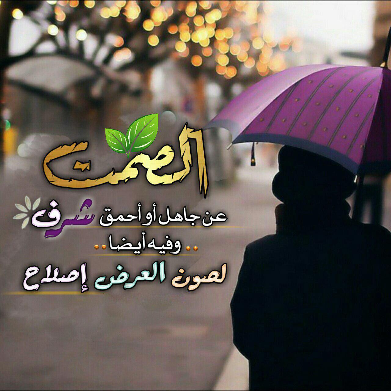 أخلاقنا الإسلامية - الصمت عن جاهل أو أحمق شرف