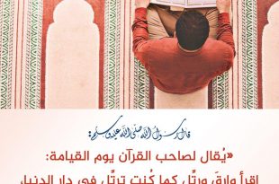 تدبرات - اقرأ وارتق