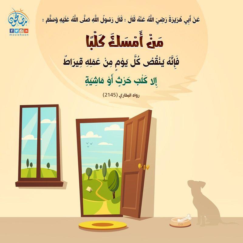 منوعات - تربية الكلاب في المنزل
