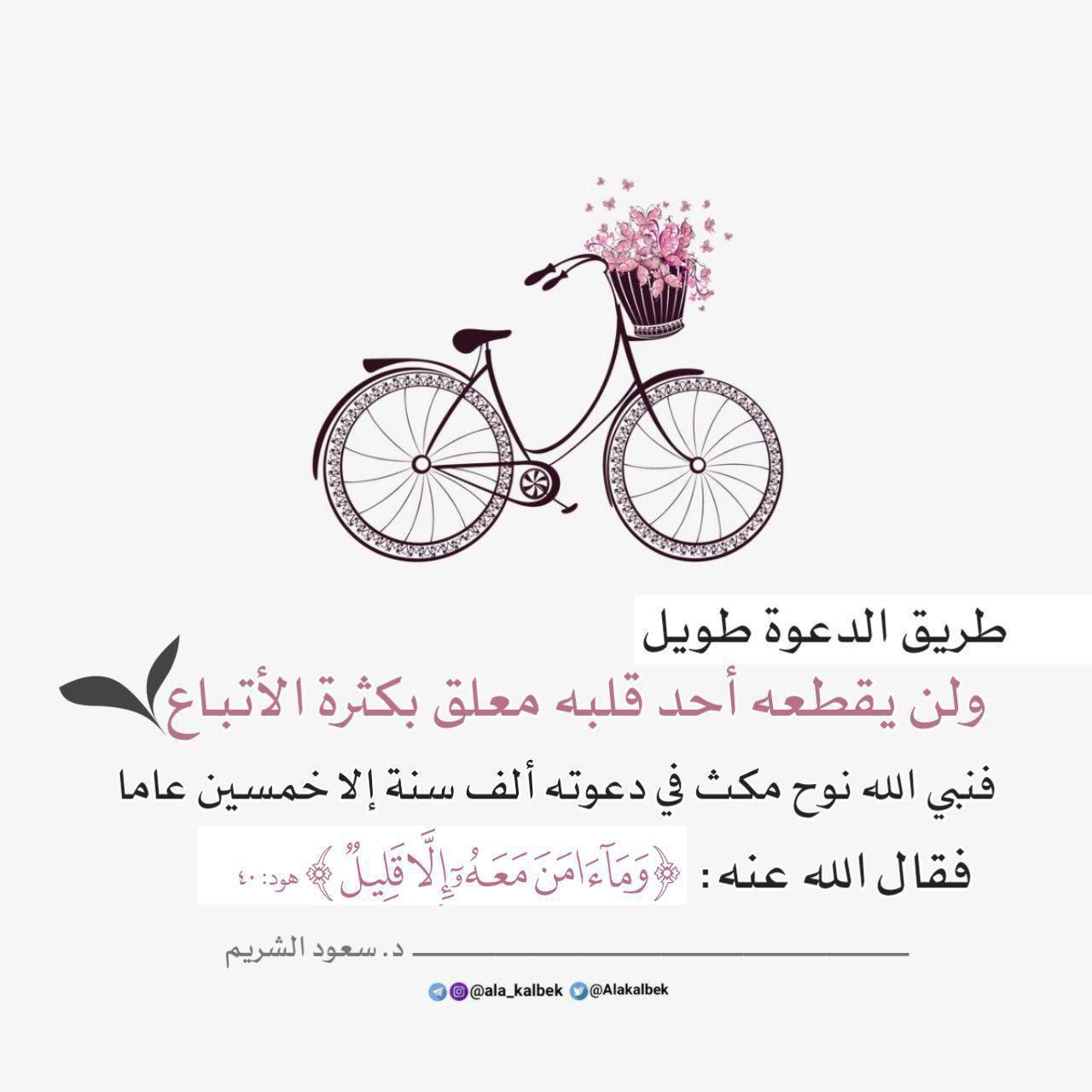 زاد الدعاة - وما آمن معه إلا قليل