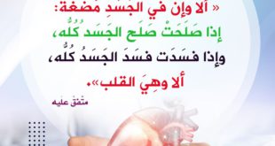 القلب