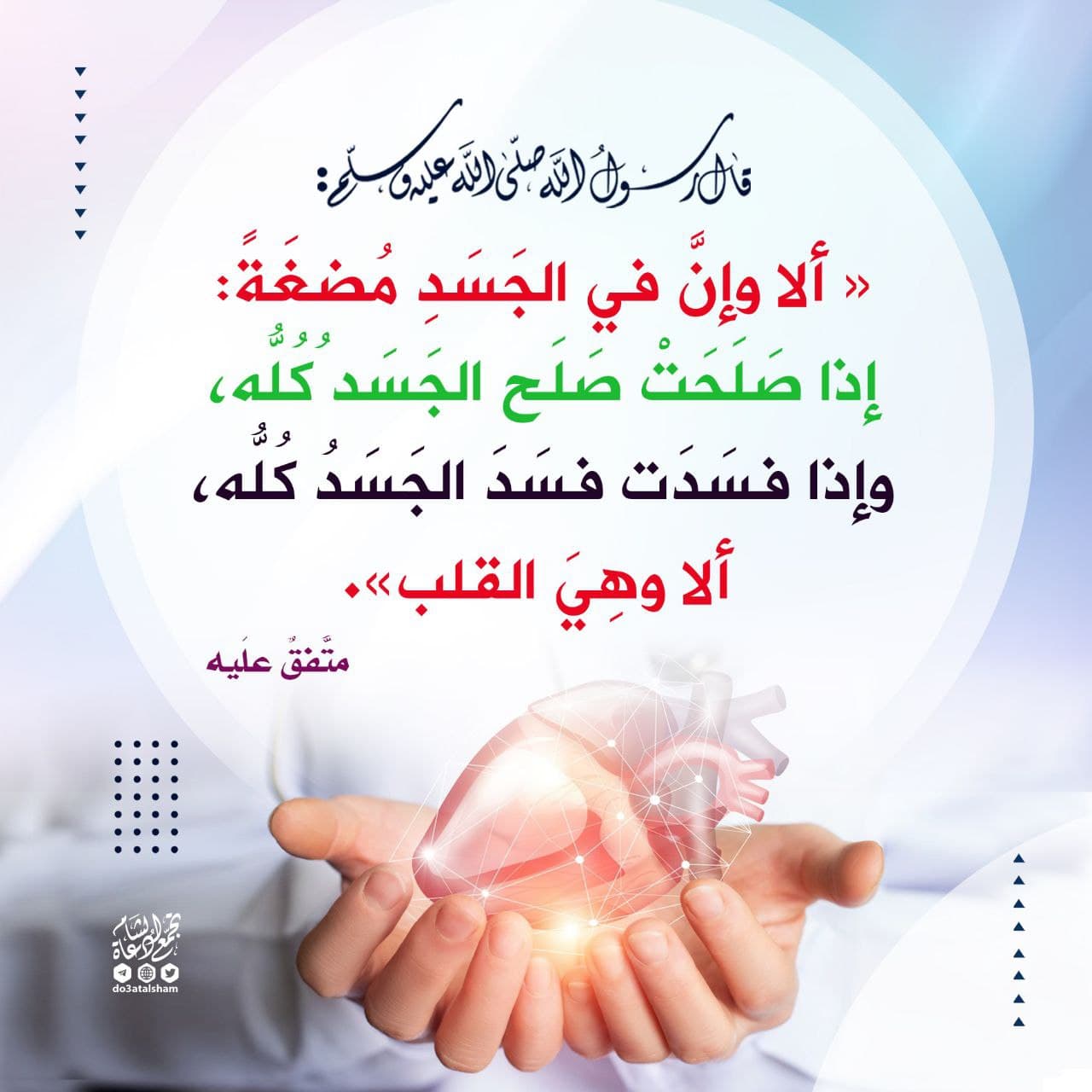 القلب