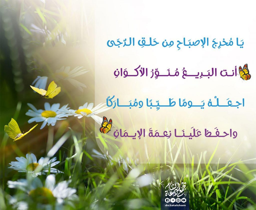 بطاقات الصباح - اجعله يوما طيبا ومباركا