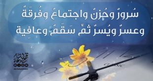 بطاقات الصباح - ثمانية تجري على الناس كلهم