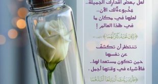 تدبرات - وكان تحته كنز لهما