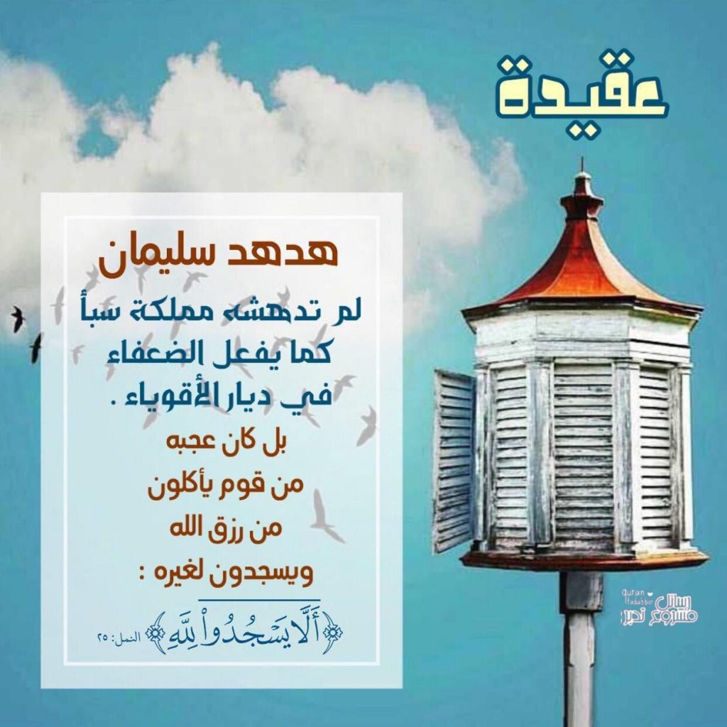 تدبرات - هدهد سليمان
