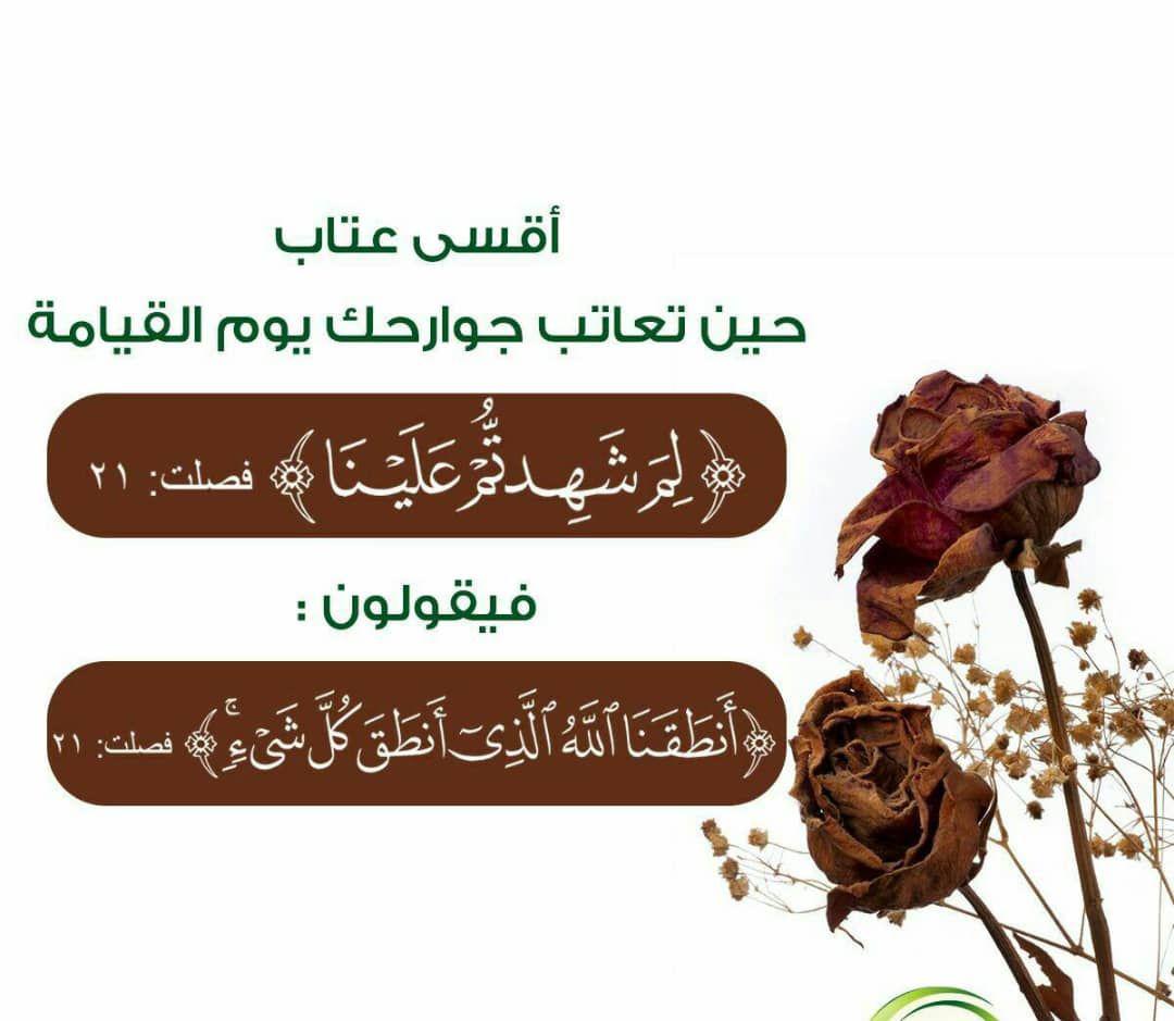تدبرات - أنطقنا الله الذي أنطق كل شيء
