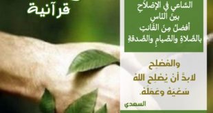 تدبرات - والصلح خير