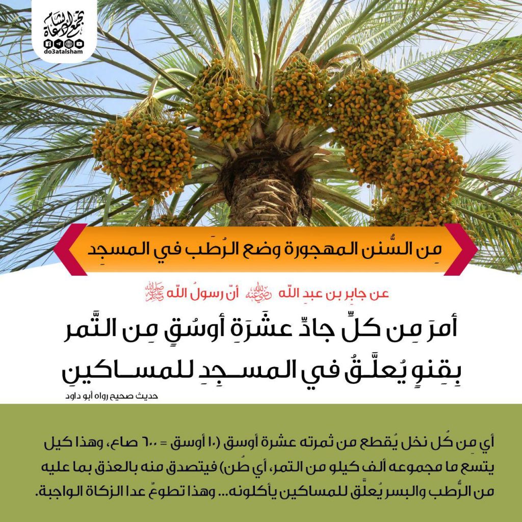 المجتمع المسلم - وضع الرطب في المسجد
