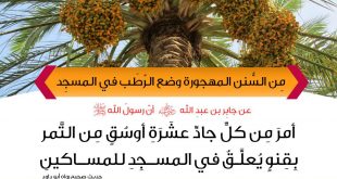 المجتمع المسلم - وضع الرطب في المسجد
