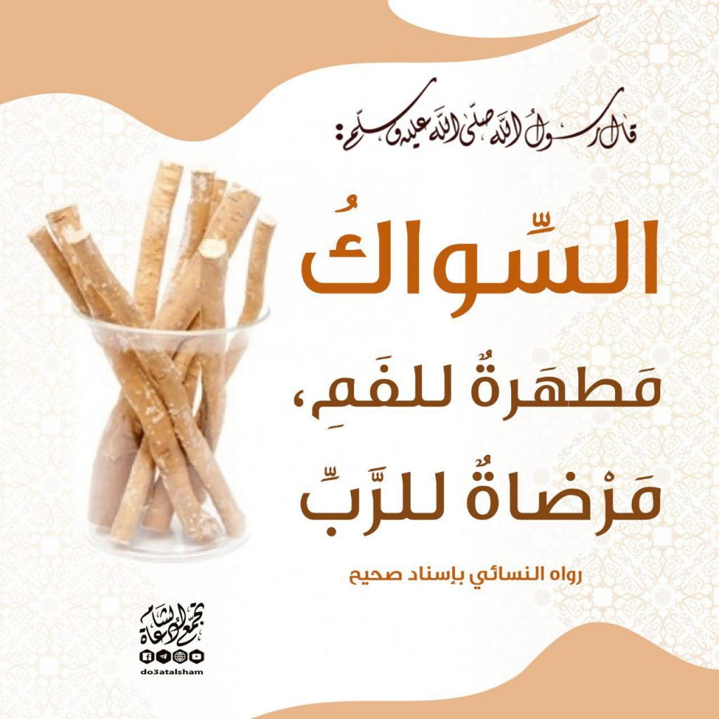 آداب إسلامية - السواك مطهرة للفم مرضاة للرب