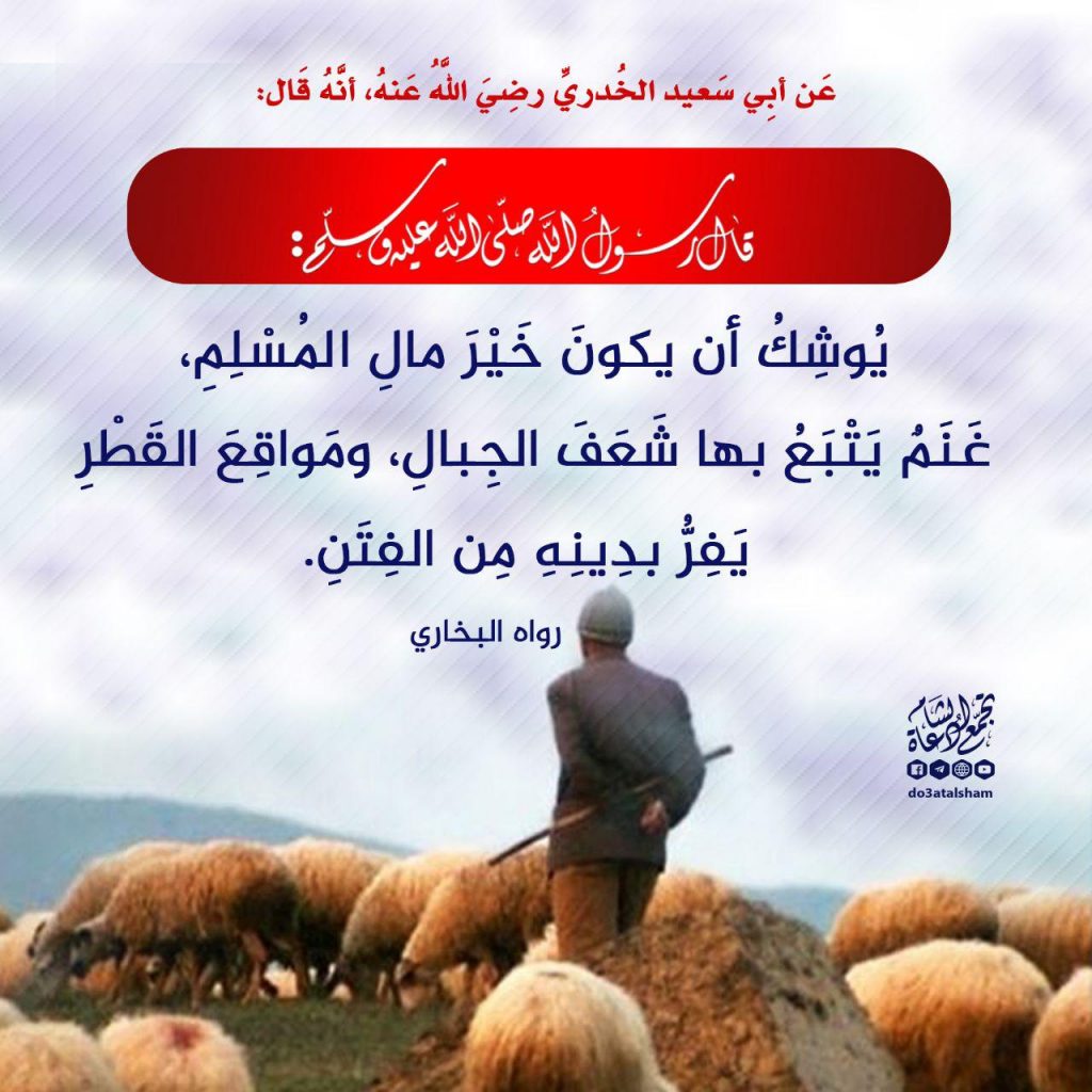 إيمانيات - يفر بدينه من الفتن
